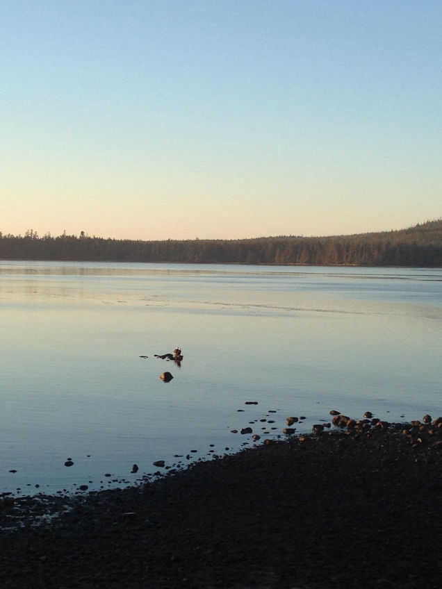 Massot Oceanview Hotel 362